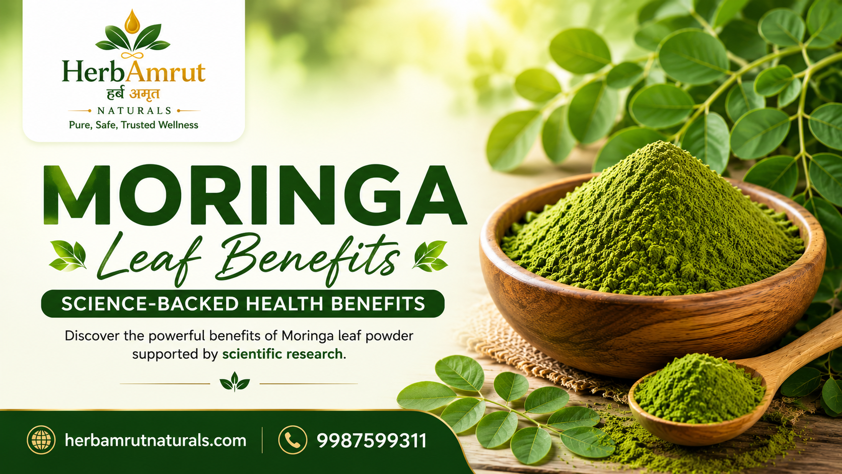Moringa Leaf Benefits: Evidence-Based Health Benefits Backed by Scientific Research
